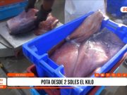 Trujillo: pota barata se ofrece desde 2 soles el kilo