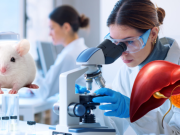 Madrid: Logran eliminar cáncer de páncreas en ratones