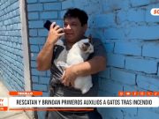 Trujillo: Incendio en vivienda deja cuatro gatos rescatados
