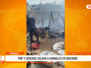 Trujillo: Incendio en Santo Dominguito deja animales a salvo