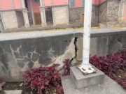San Luis: fallas geológicas provocan hundimiento de plaza