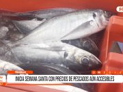 Trujillo: inicia Semana Santa con precios de pescado aún accesibles