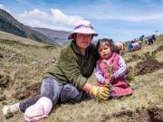 Áncash impulsa siembra de agua con más de 200 mil quenuales en cuencas