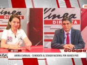 Elecciones 2026: “La prioridad es tener una política del Estado en turismo. Queremos atraer inversión, pero sin infraestructura no se puede” Candidata al Senado por Avanza País, Amora Carbajal