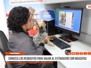 Nacional: conozca los requisitos para viajar al extranjero con mascotas