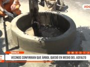 Trujillo: árbol sepultado por asfalto genera polémica vecinal