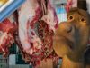Argentina: Incremento de consumo de carne de burro tras alto precio de la carne de res