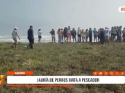 Ascope: jauría de perros mata a pescador