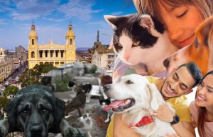 Chiclayo: Ordenanza de mascotas será revisada por área técnica