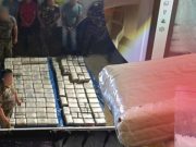 Piura: incautación de cocaína supera los 700 kg PNP