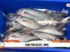 Trujillo: precio del pescado sube por oleaje anómalo