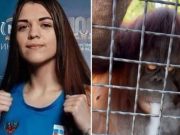 Internacional: boxeadora que le dio de fumar a un animal en peligro de extinción