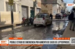 Piura: posible estado de emergencia por aumento de casos de leptopirosis