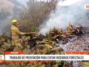 Áncash: trabajos de prevención para evitar incendios forestales