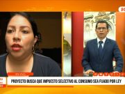 Carla Campos: Proyecto busca de impuesto de selectivo al consumo sea fijado por ley