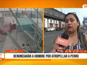 Trujillo: Denuncian a conductor que atropelló a perro y lo dejó gravemente herido