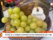 Áncash: Festival de la Vendimia Cachipampa destaca producción de uva y vino