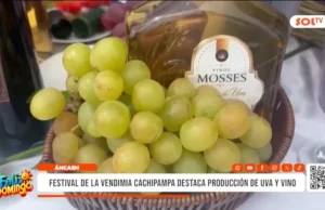 Áncash: Festival de la Vendimia Cachipampa destaca producción de uva y vino