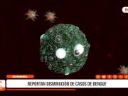 Cajamarca: reportan disminución de casos de dengue