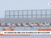 Trujillo: existe un hábitat de flamencos en Salaverry