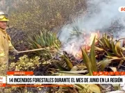 Áncash: 14 incendios forestales durante el mes de junio en la región