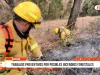 Áncash: trabajos preventivos por posibles incendios forestales