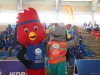 Gallito de las rocas y perrito peruano sin pelo serán las mascotas oficiales de los Juegos Escolares 2026