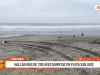 Lambayeque: hallan más de 200 aves muertas en playa San José