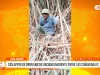 Casa Grande: con apoyo de dron ubican anciano invidente entre los cañaverales