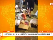 Lima: rescatan a más de 30 perros que vivían en condiciones inhumanas