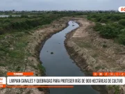 Tumbes: limpian canales y quebradas para proteger más de 900 hectáreas de cultivo