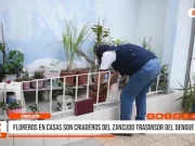 Chiclayo registra incremento sostenido de casos de dengue en zona urbana