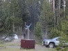 Internacional: Turista resulta gravemente herido tras ataque de bisonte en Yellowstone