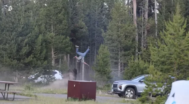 ataque-bisonte-yellowstone-turista-herido