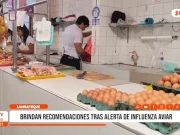 Chiclayo: Influenza aviar activa vigilancia tras caso en Reque