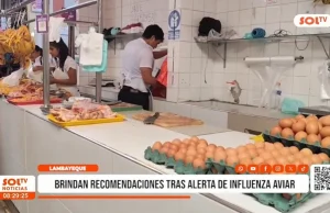 Chiclayo: Influenza aviar activa vigilancia tras caso en Reque