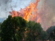 Incendios en España y Francia obligan a evacuar a cientos de miles de personas
