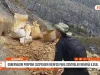 Cajamarca: gobernador propone suspender Reinfo contra minería ilegal