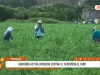 Nacional: Gobierno activa comisión contra el Fenómeno El Niño