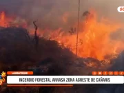 Lambayeque: incendio forestal arrasa zona agreste de Cañaris