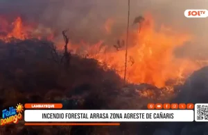 Lambayeque: incendio forestal arrasa zona agreste de Cañaris