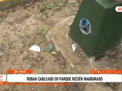 Roban cableado de más de 14 luminarias en parque de El Valle