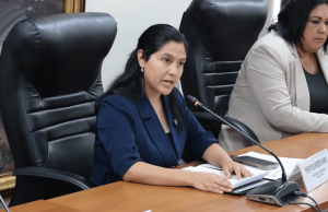Nacional: Cuñada de Pedro Castillo presidirá Comisión de Energía y Minas de diputados