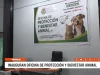 Trujillo: inauguran oficina de protección y bienestar animal