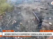 Cajamarca: incendios forestales salen de control