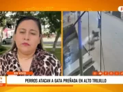 Alto Trujillo: gatita preñada muere tras ataque de perros y animalistas exigen justicia