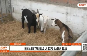 Expo Cabra 2026 presenta razas, beneficios y potencial productivo de la cabra en La Libertad
