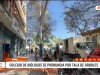 Piura: colegio de biólogos se pronuncia por tala de árboles