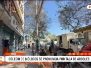 Piura: colegio de biólogos se pronuncia por tala de árboles