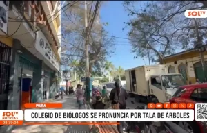 Piura: colegio de biólogos se pronuncia por tala de árboles